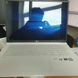 LG그램 17인치 17ZD990 - VX50K 거의새것