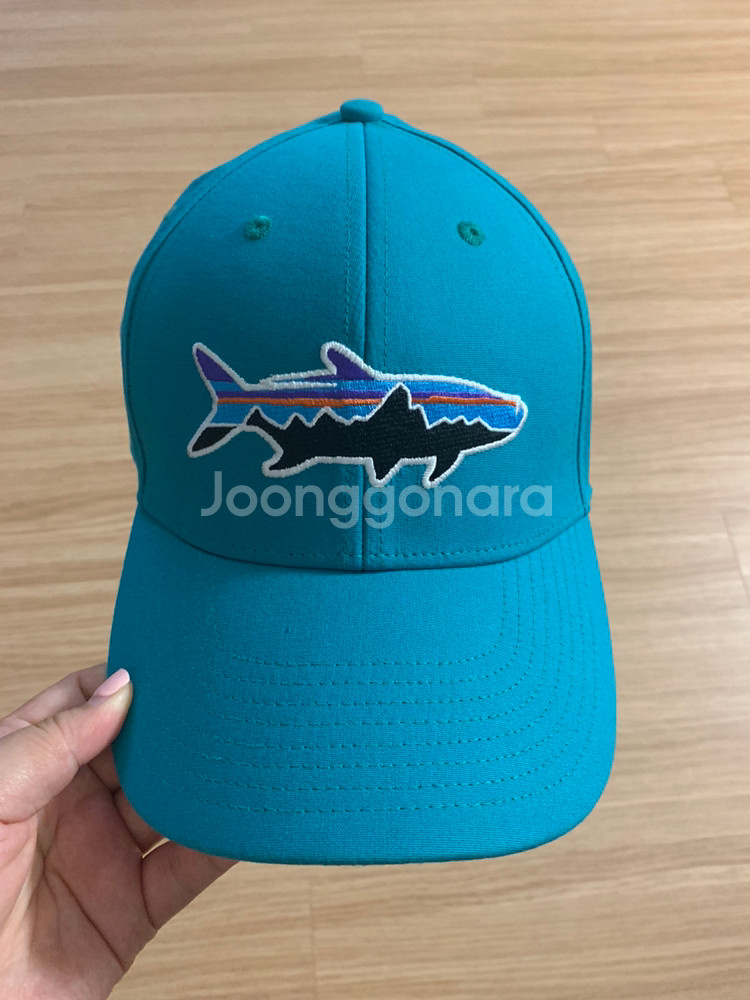 파타고니아 모자 patagonia cap--0