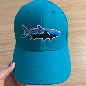 파타고니아 모자 patagonia cap