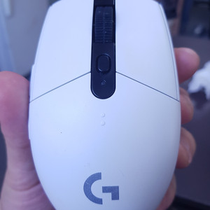 G 304 화이트