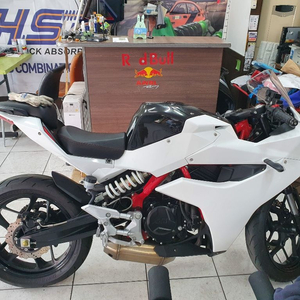 엑시브 250r