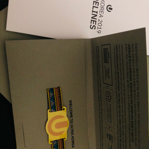 2019 UMF 울트라 코리아 GA 3일권