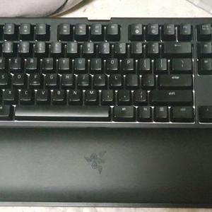 razer blackwidow v2 토너먼트녹축팝니다