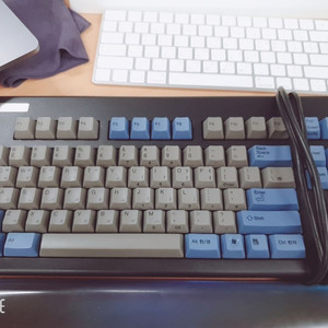 리얼포스 87U 10주년 55g 균등 저소음