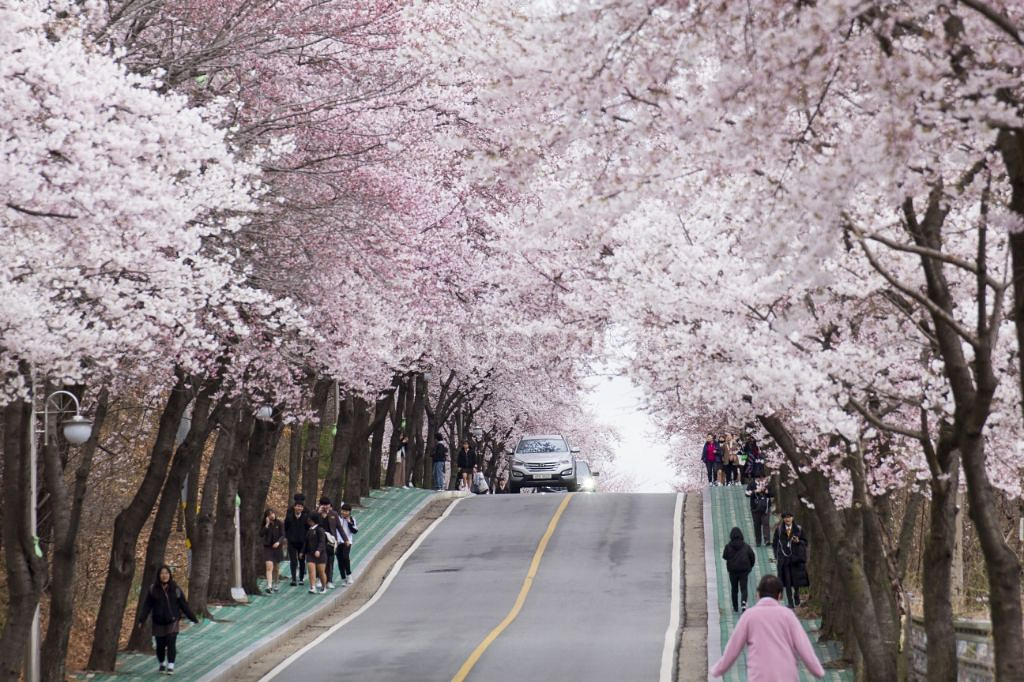 (캐논마운트)탐론 70-300mm vc 가격인하--2