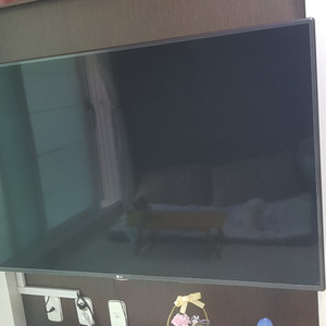 lg55인치tv