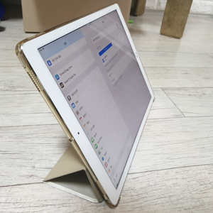  Ipad Pro 2세대 (12.9 인치) 256GB