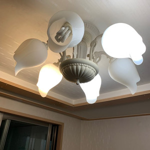 거실등 LED등 사용 가능