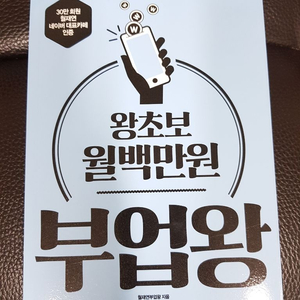 왕초보 월백만원 부업왕