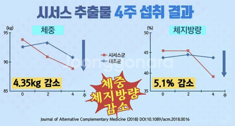 미개봉 새제품 카오라오 시서스 판매합니다.--1