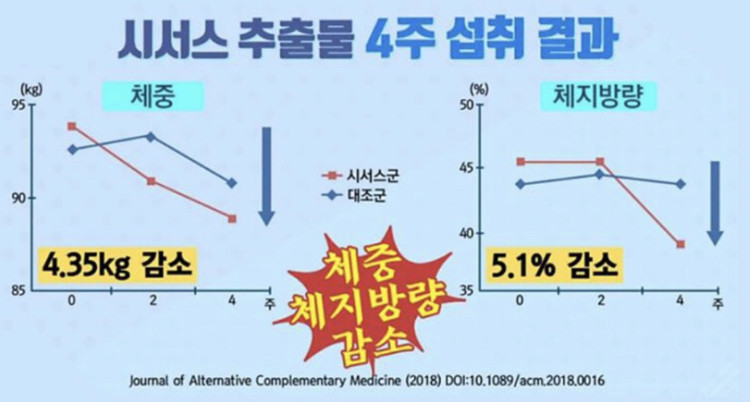 미개봉 새제품 KHAOLAOR 시서스 판매합니다.--1