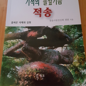 기적의솔잎기름적송 