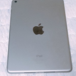 아이패드 미니4 128GB WIFI