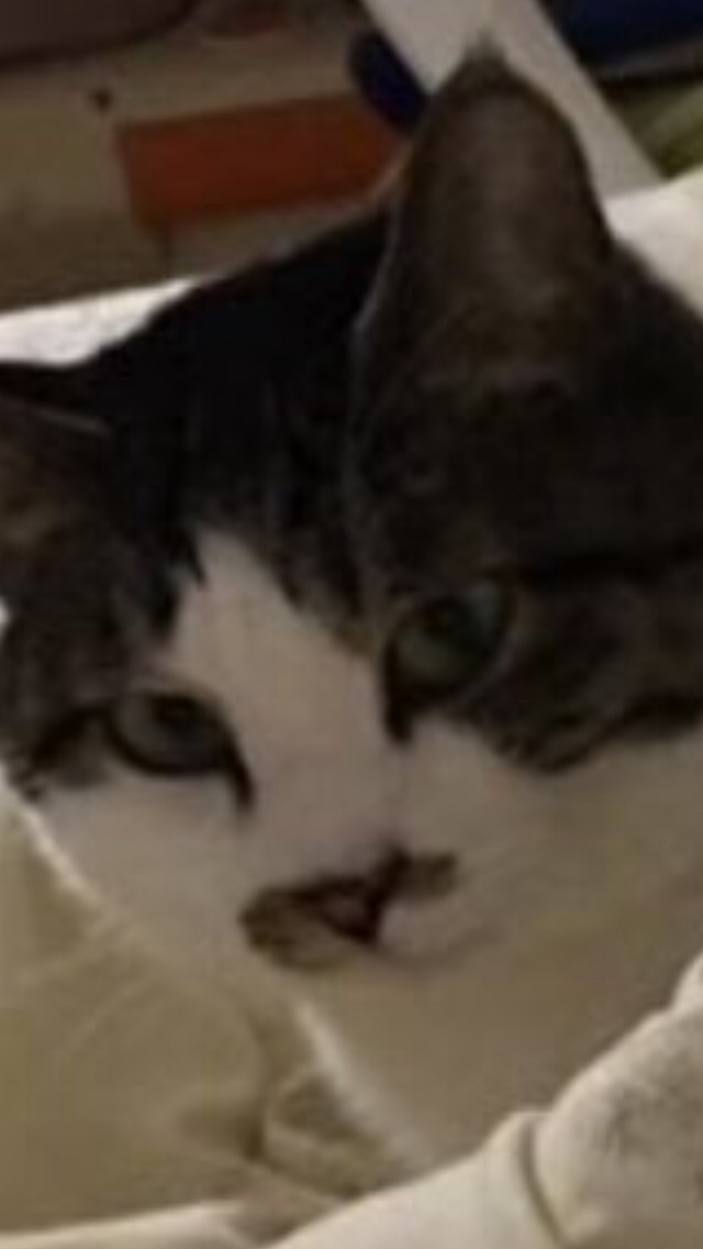 profile-image