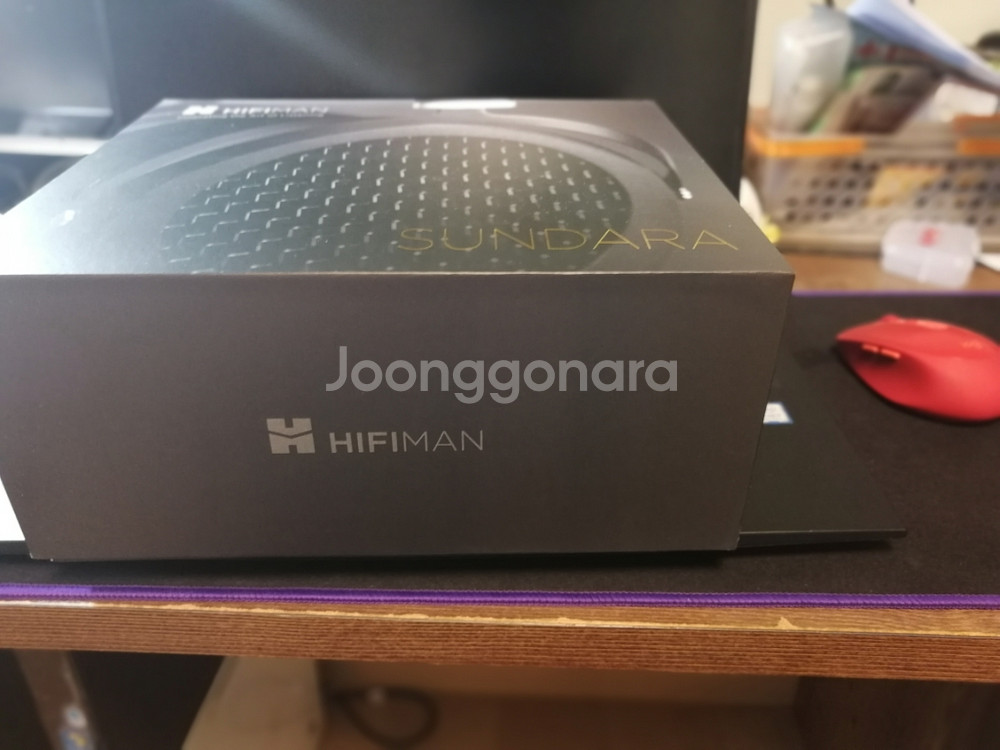 Hifiman Sundara--1