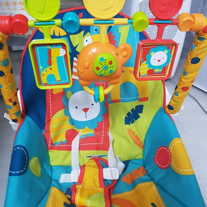 fisher price 바운서 2019년 구입제품