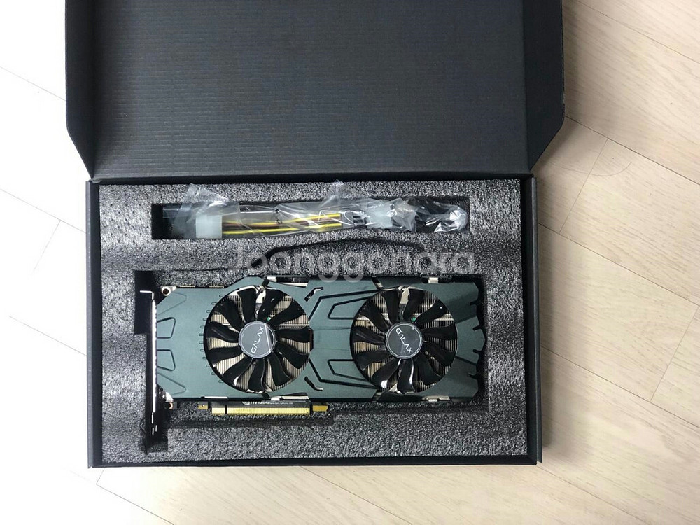 GALAX GTX 1080Ti 지천명--1