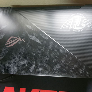 ASUS ROG GL503VM-GZ254T 페이커노트북