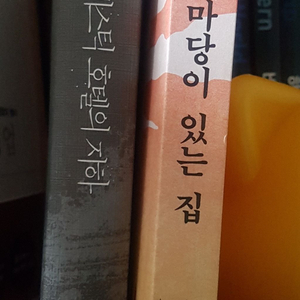 추리소설 도서 마당있는집