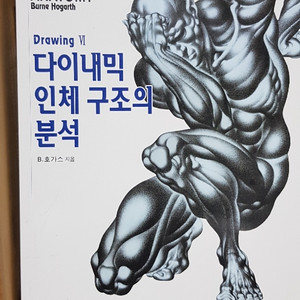 다이내믹 인체 구조의 분석