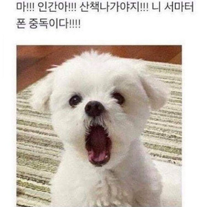 컴퓨터 부품싸게 삽니다 