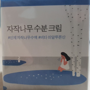 라운드랩 자작나무 수분크림