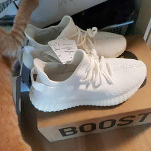 아디다스  이지부스트350  v2  270싸이즈