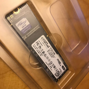 SSD Crucial P1 1T