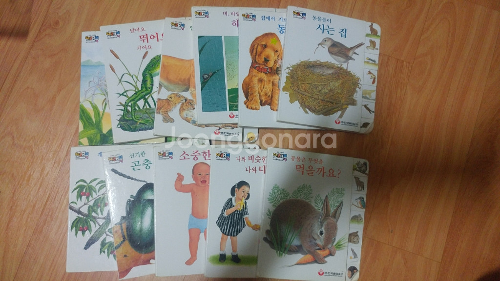 유아책-한국몬테소리 또래북, 계몽사 베이비프리티스쿨--2