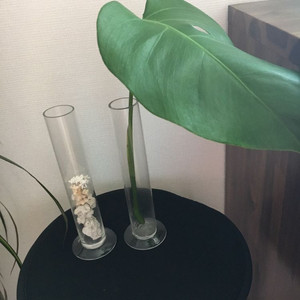 유리볼 유리화병 유리 인테리어 개당 만원 두개있음 메스