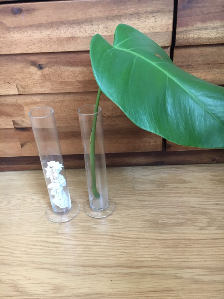 유리볼 유리화병 유리 인테리어 개당 만원 두개있음 메스--1