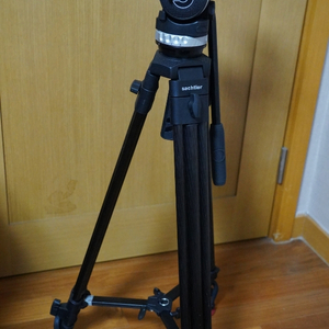 SACHTLER(셔틀러) ACE L MS CF 1011