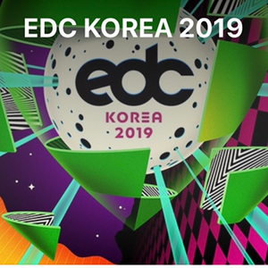 edc티켓 토요일권 2장 14 삽니나 직거래만