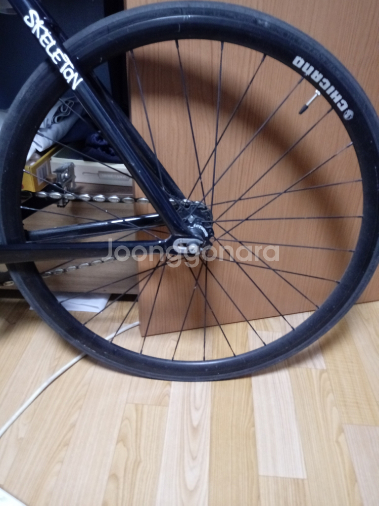 치카노 스켈레톤--1