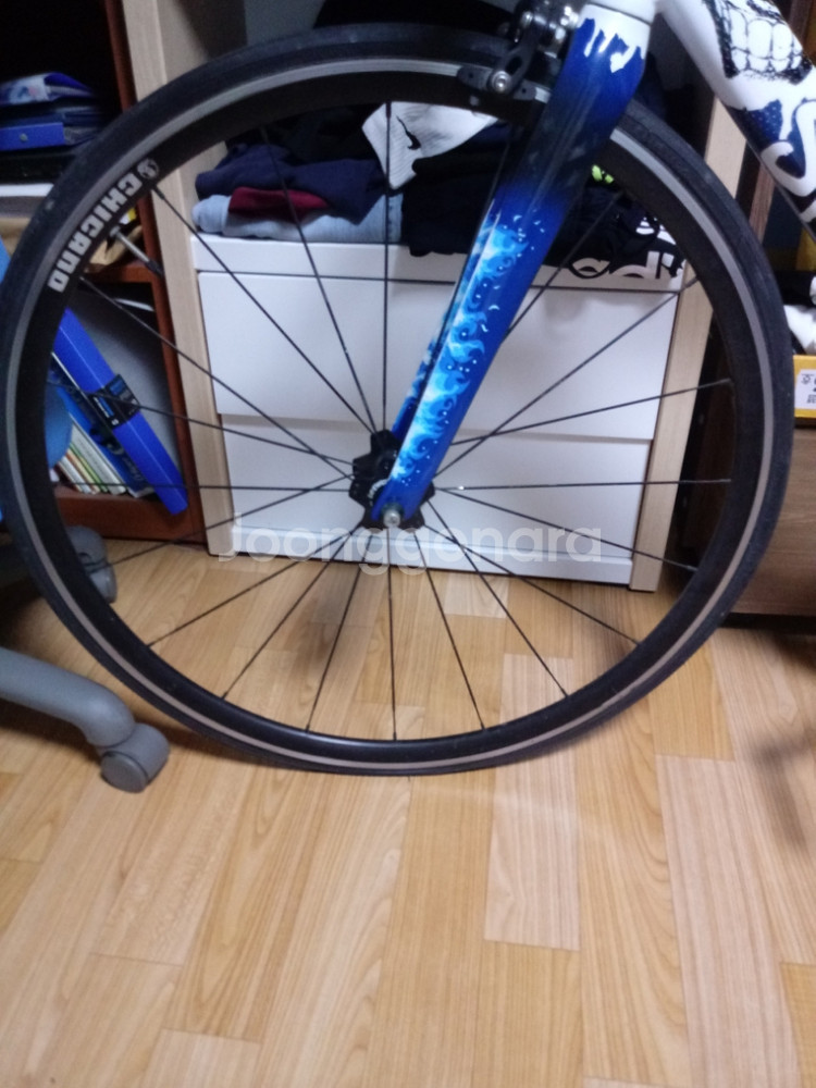 치카노 스켈레톤--2