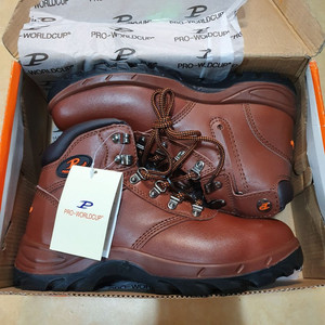 프로월드컵 안전