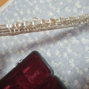 플룻데려가실분 계신가요오~~~? 주피터플룻인데....