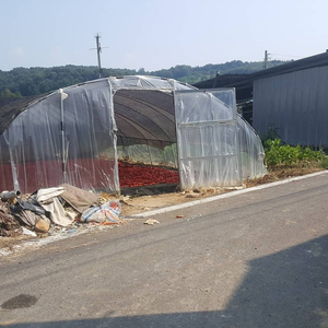 100%태양초