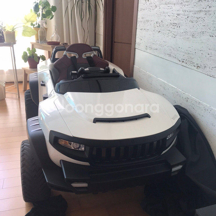 헤네스 브룬T 879--0