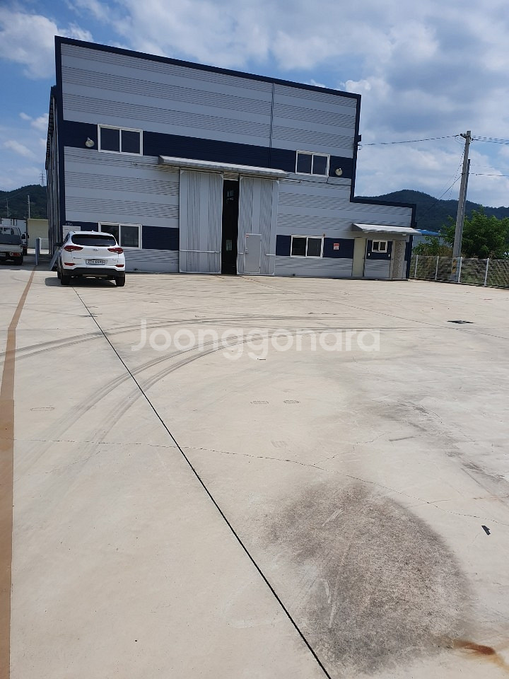 애견카페 인조잔디 010  3711  7487 아주저렴--4