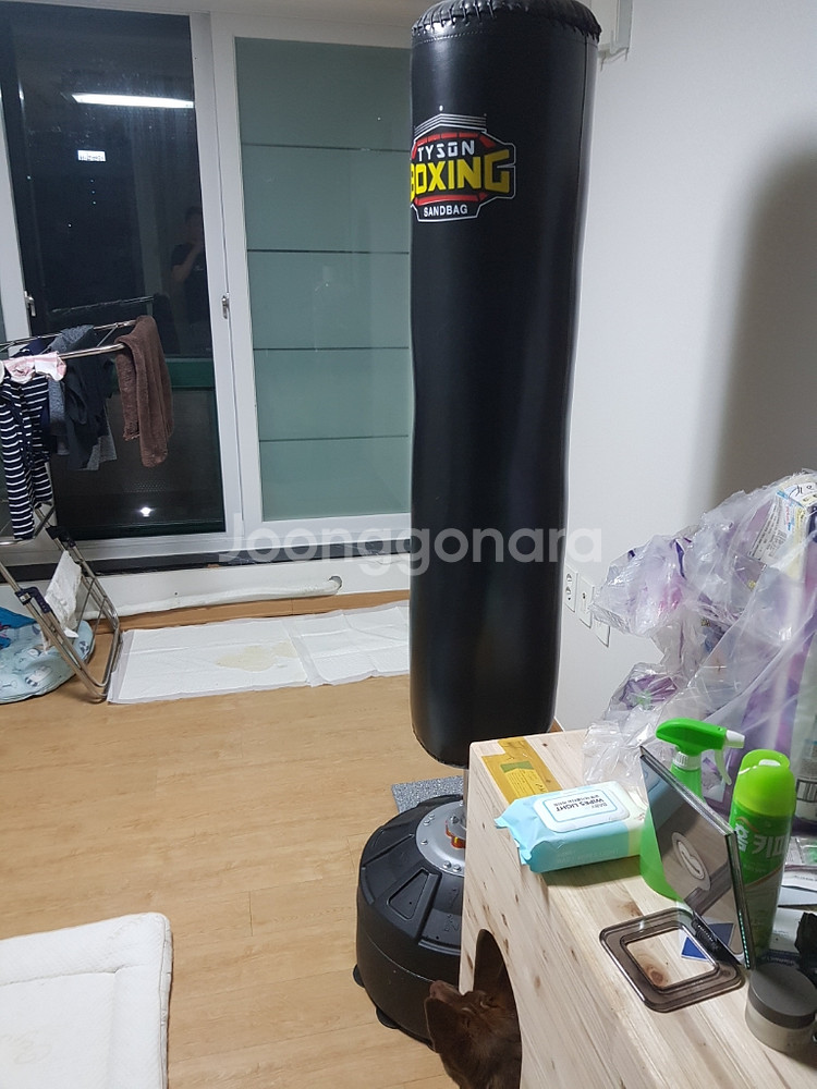 물통형 스탠딩 샌드백 타이슨 정품--0