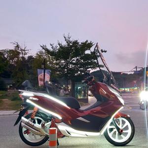 Pcx125 19년식