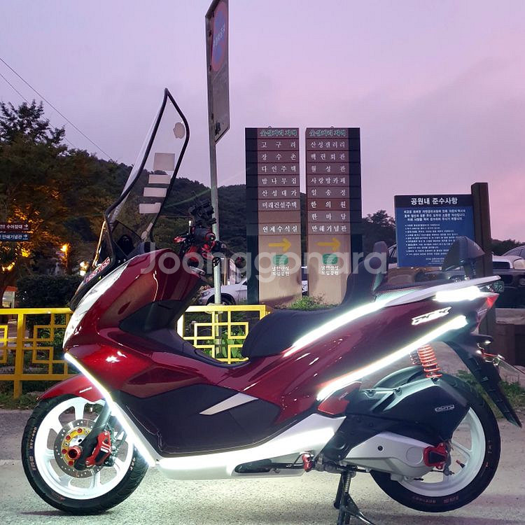 Pcx125 19년식--1