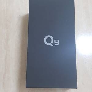 LG Q9