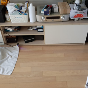 한샘티비다이  만원에  데려가세요   무료나눔 완료