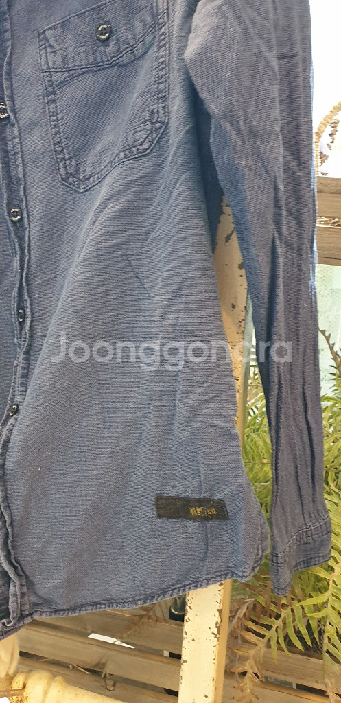 블루테일 주니어남방--2