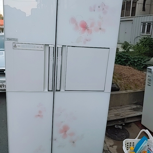 삼성 냉장고