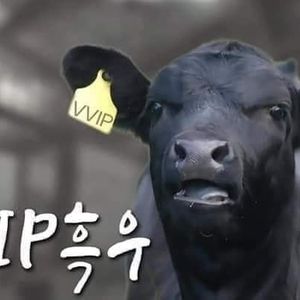 데상트 아우디 패딩 후리스 팝니다 안사면 흑우