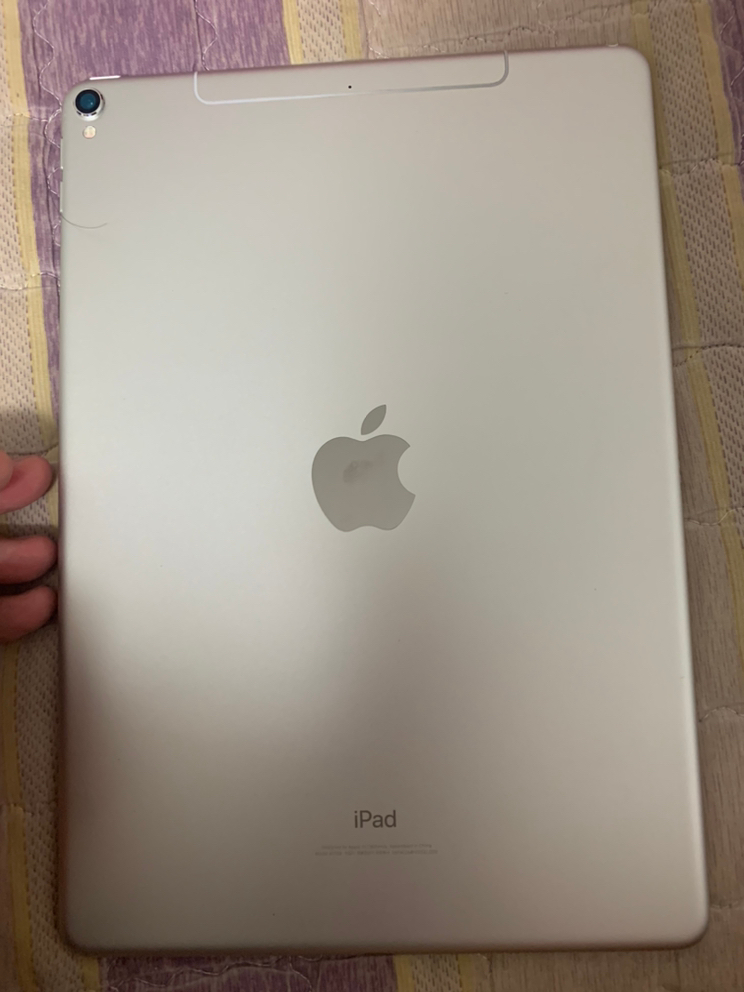 아이패드프로2세대 10.5 실버 64G 셀룰러 팝니다--2
