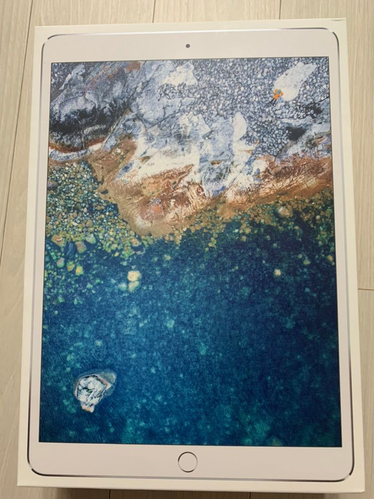 아이패드프로2세대 10.5 실버 64G 셀룰러 팝니다--7